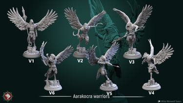Aaracokra Warrior Bundle